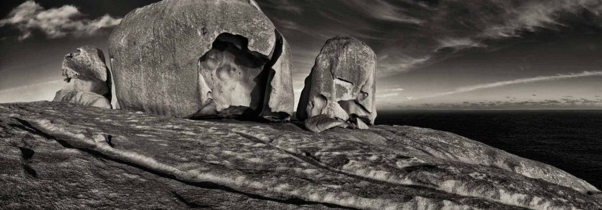 Gold FIAP medal - Award winning photographer - Auckland