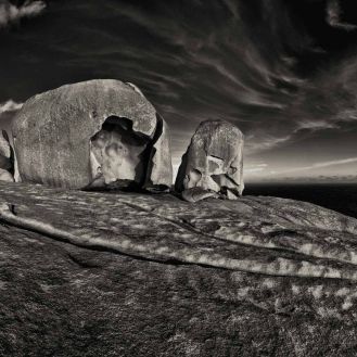 Gold FIAP medal - Award winning photographer - Auckland