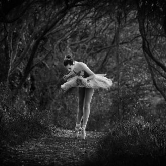 Portrait Photographer Auckland