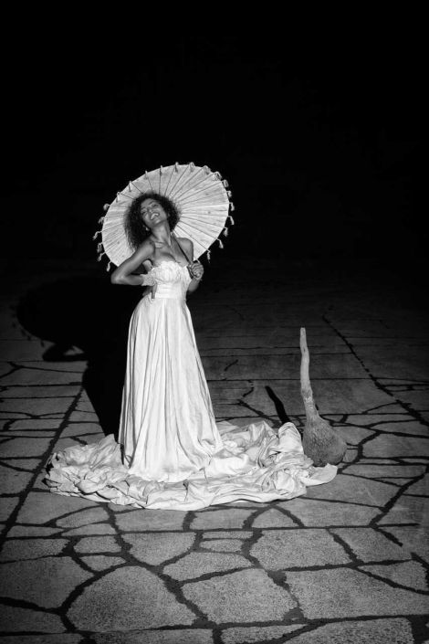 Professional Photography North Shore