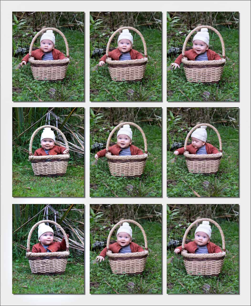 Baby Photography Auckland