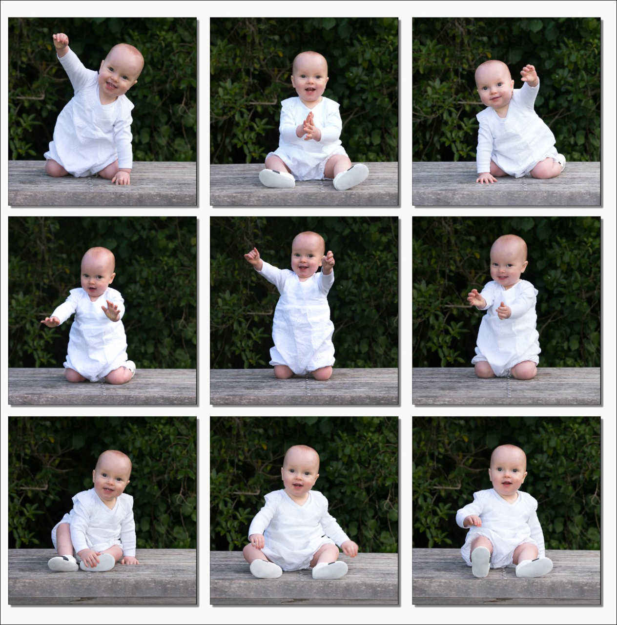 Baby Photography Auckland