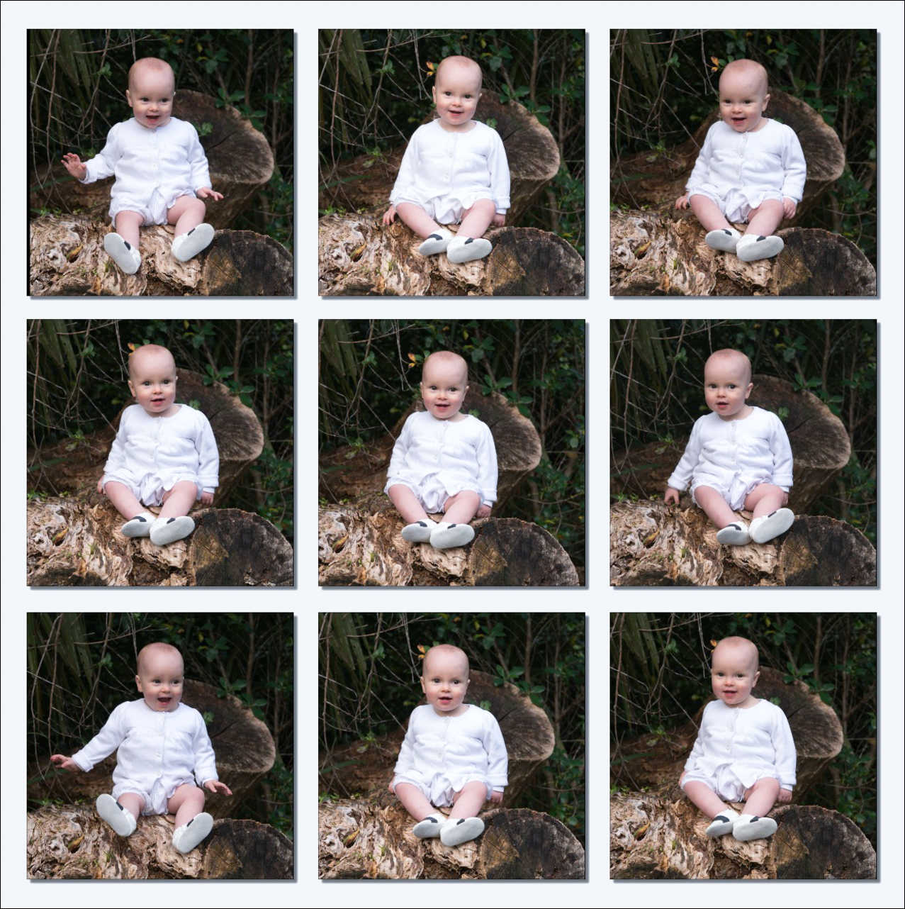 Baby Photography Auckland