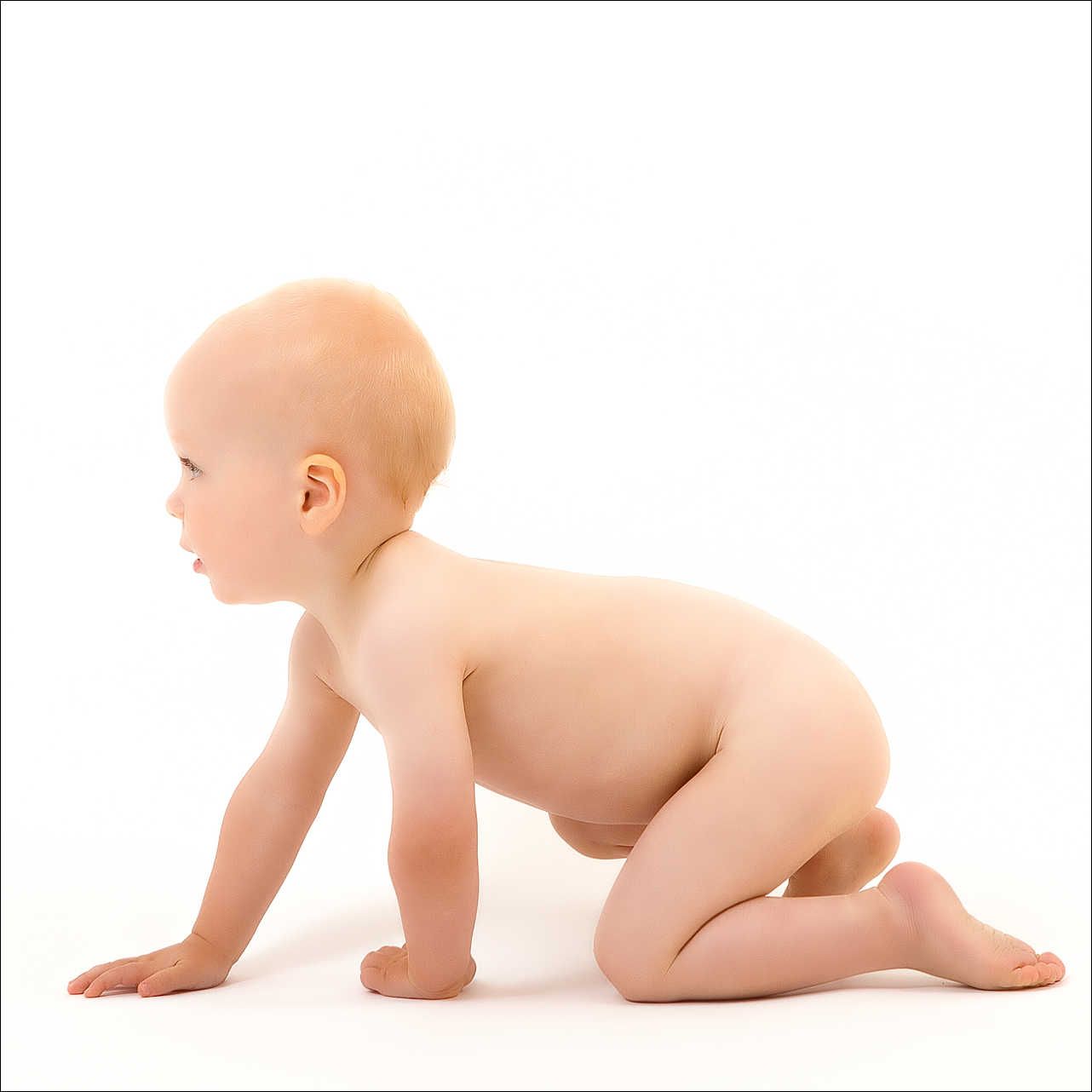 Baby Photography Auckland