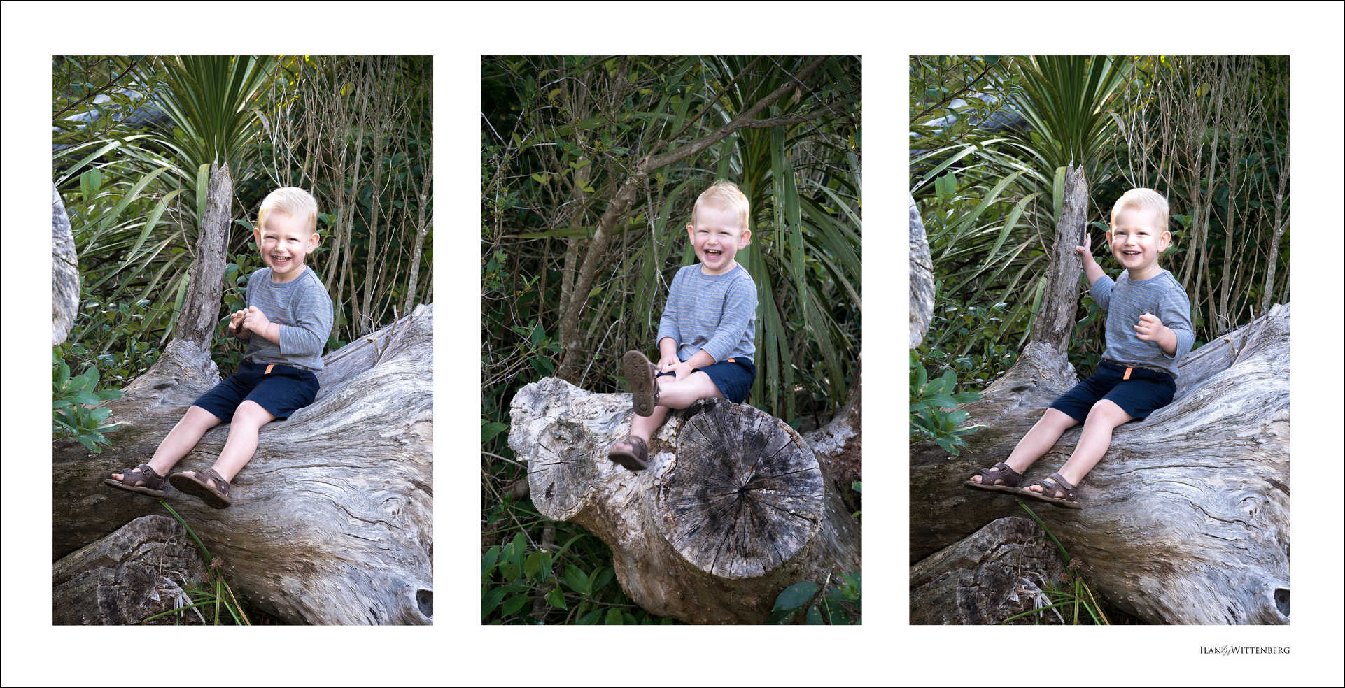 Baby Photography Auckland