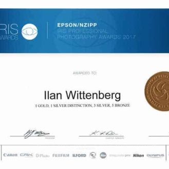 Auckland Portrait Photographer