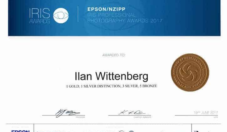 Auckland Portrait Photographer