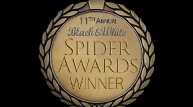 Portrait Photography Studio North Shore