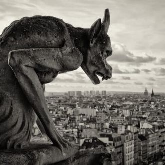 Award Winning photographer - Auckland Photography