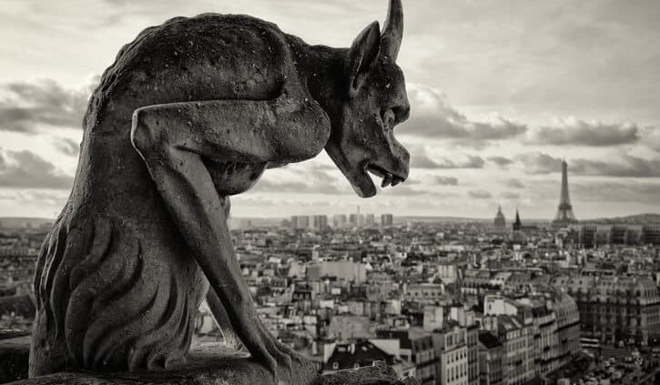 Award Winning photographer - Auckland Photography