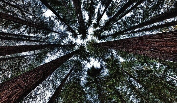 Landscape Photography