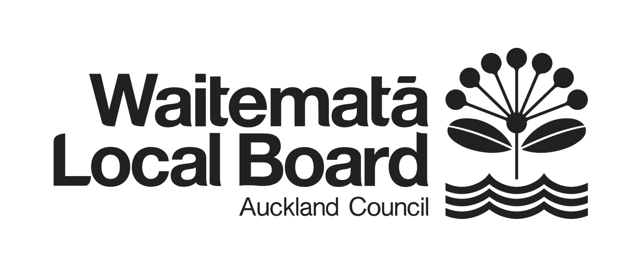 Waitemata Local Board