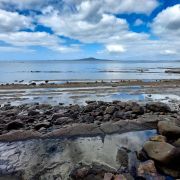 Photographer Near Me