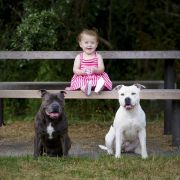 Pet photography North Shore