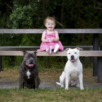 Pet photography North Shore